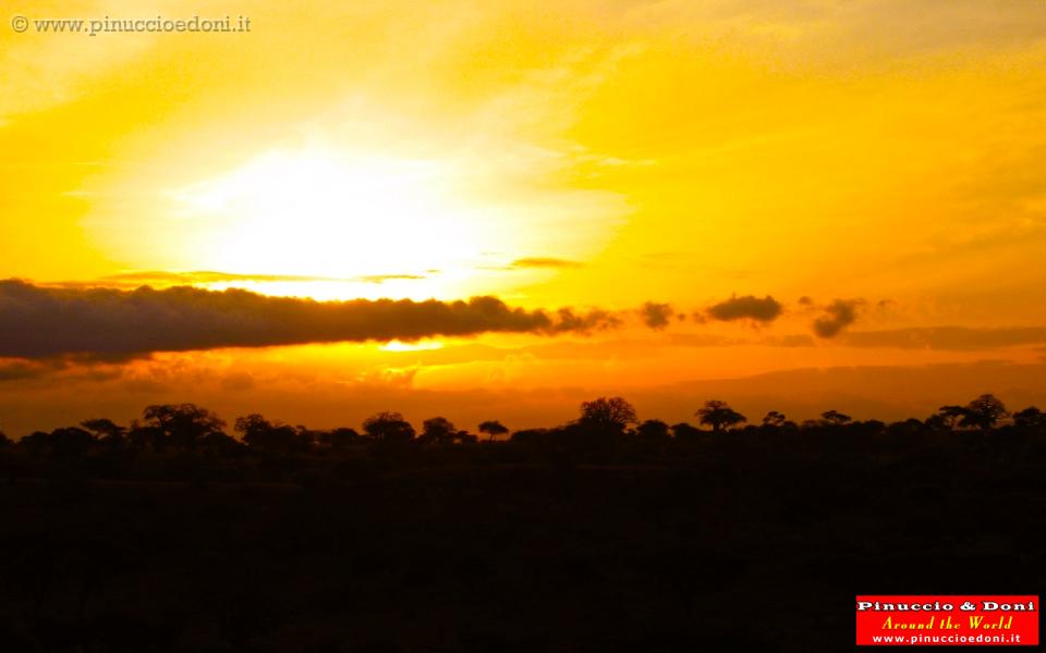 TANZANIA - Tarangire National Park - 46 Alba.jpg